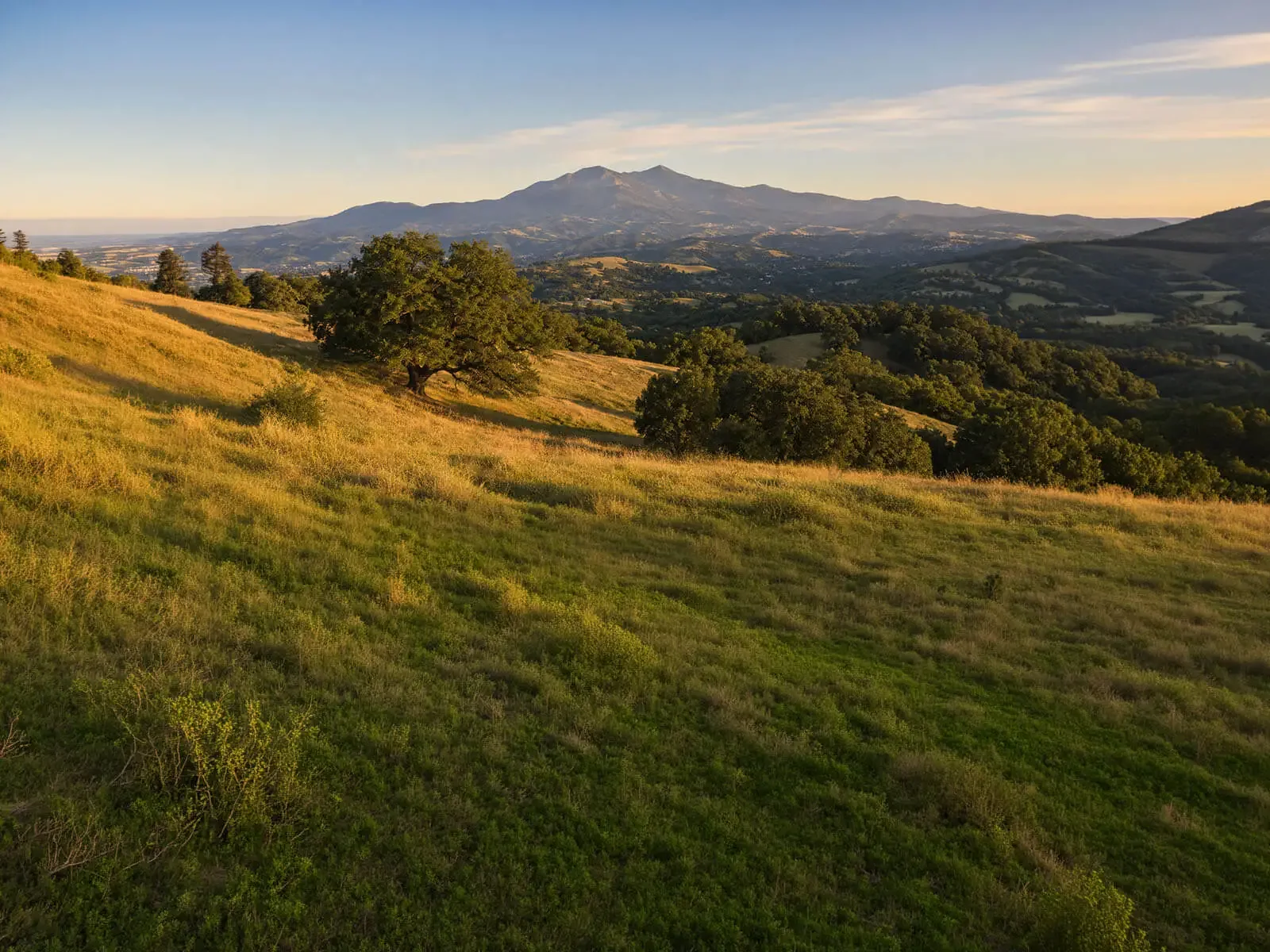 Marin Catering Company — full-service catering beneath Mount Tamalpais, with on-site staff, setup, service and cleanup in San Rafael, Mill Valley, Tiburon, Sausalito, Corte Madera and Novato Mount Tamalpais rising above golden Marin County hillsides and oak groves at sunset — the region Marin Catering Company serves with full-service wedding and corporate catering